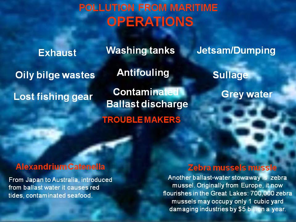 Pollution Lesson